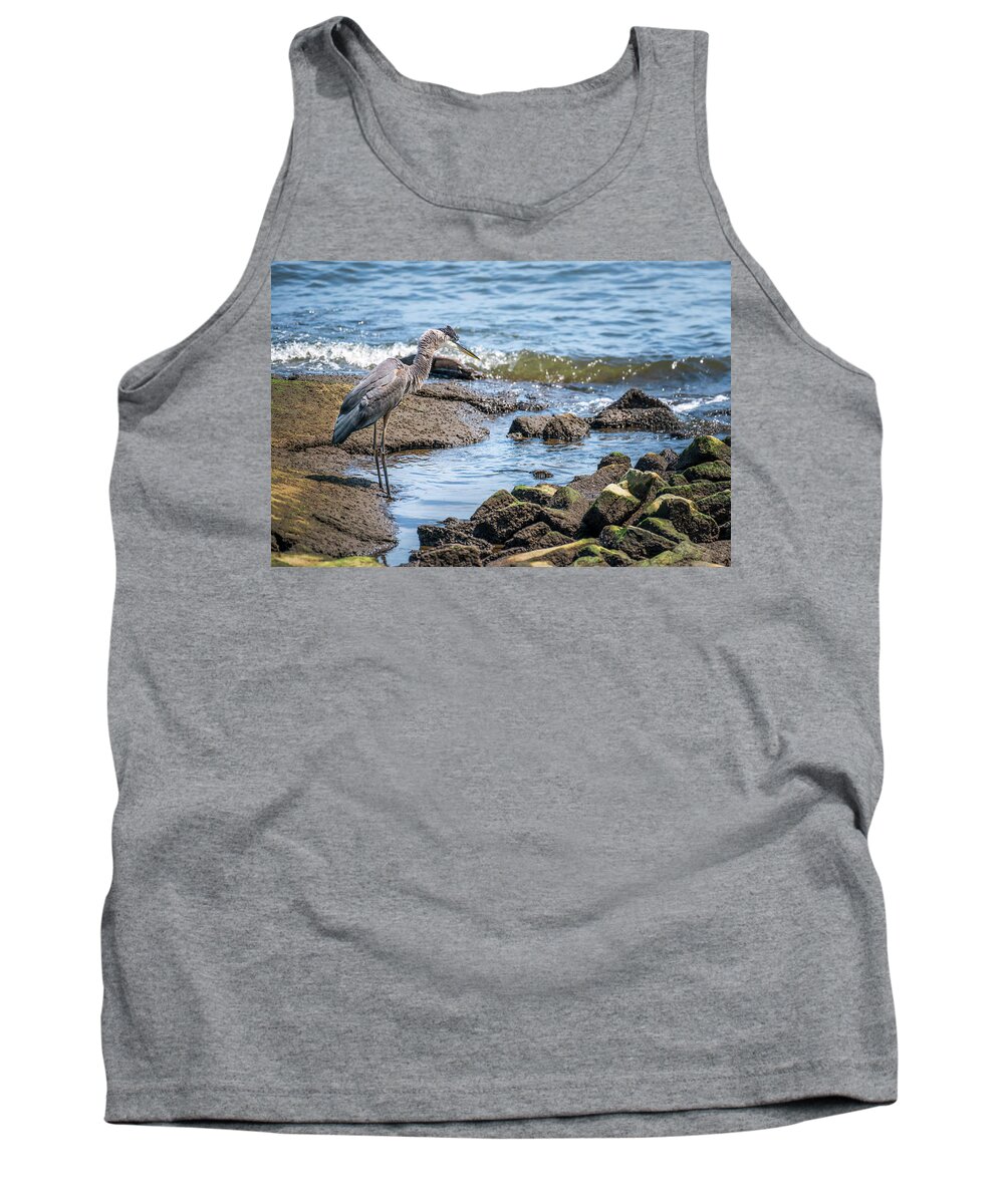 Great Blue Heron Tank Top featuring the photograph Great Blue Heron fishing on the Chesapeake Bay by Patrick Wolf