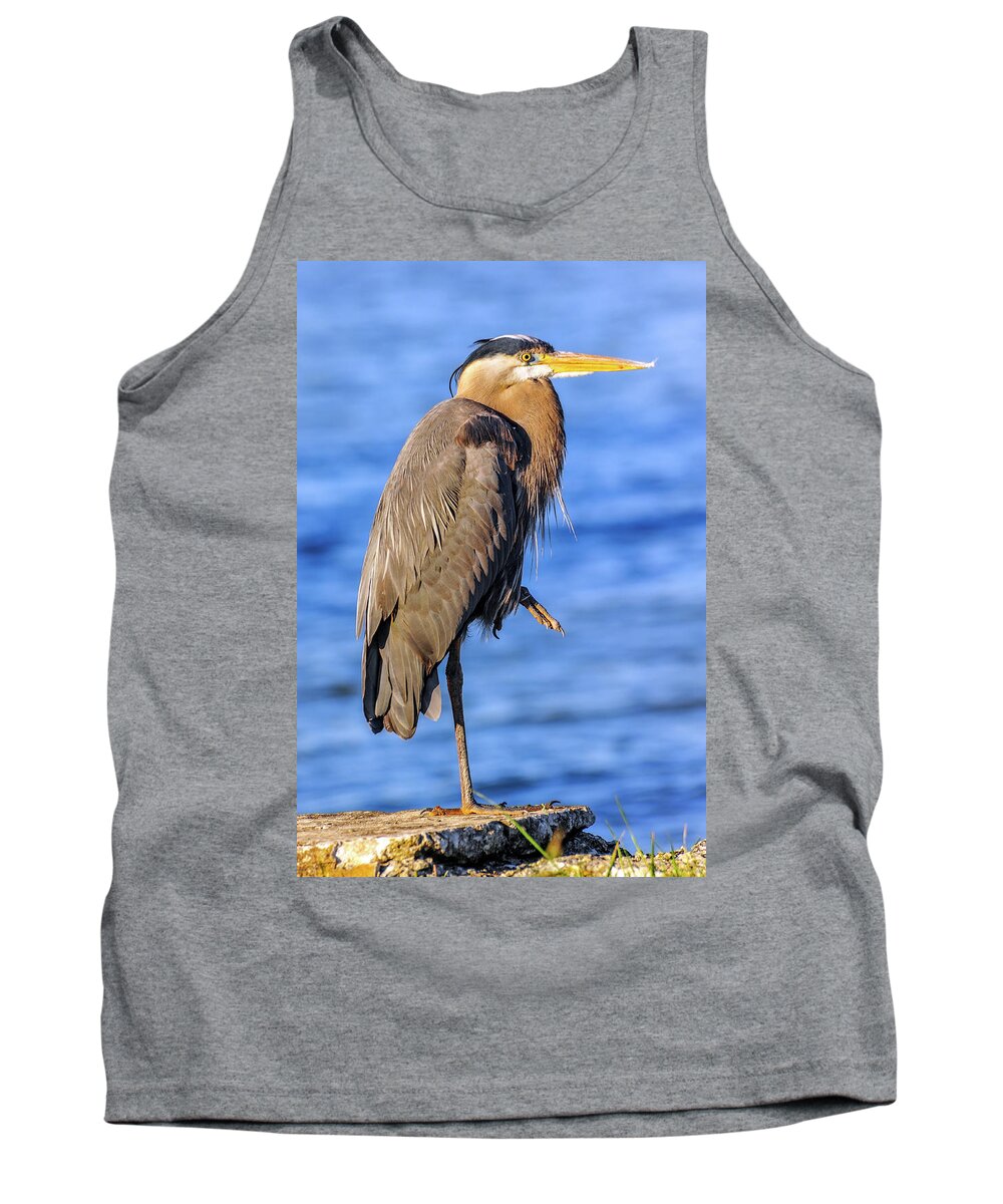 Ardea Herodias Tank Top featuring the photograph Great Blue Heron on the Chesapeake Bay by Patrick Wolf
