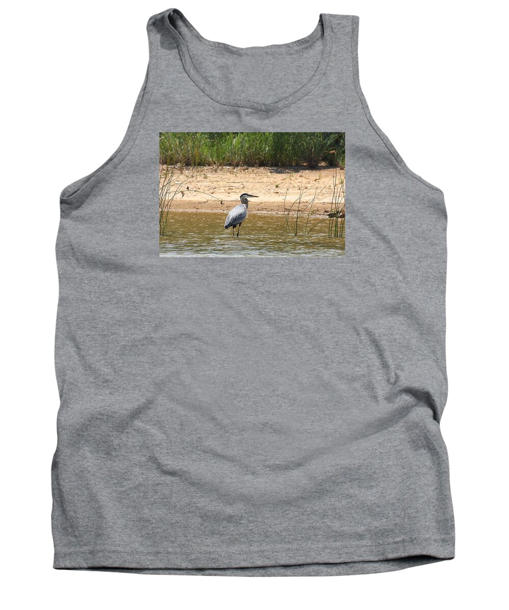 Nature Tank Top featuring the photograph Great Blue Heron Wading by Sheila Brown