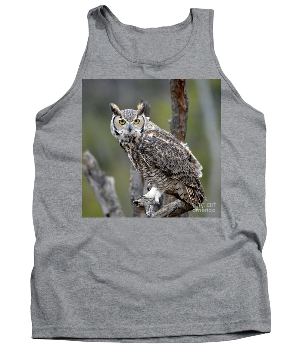 Denise Bruchman Tank Top featuring the photograph Great Horned Owl by Denise Bruchman