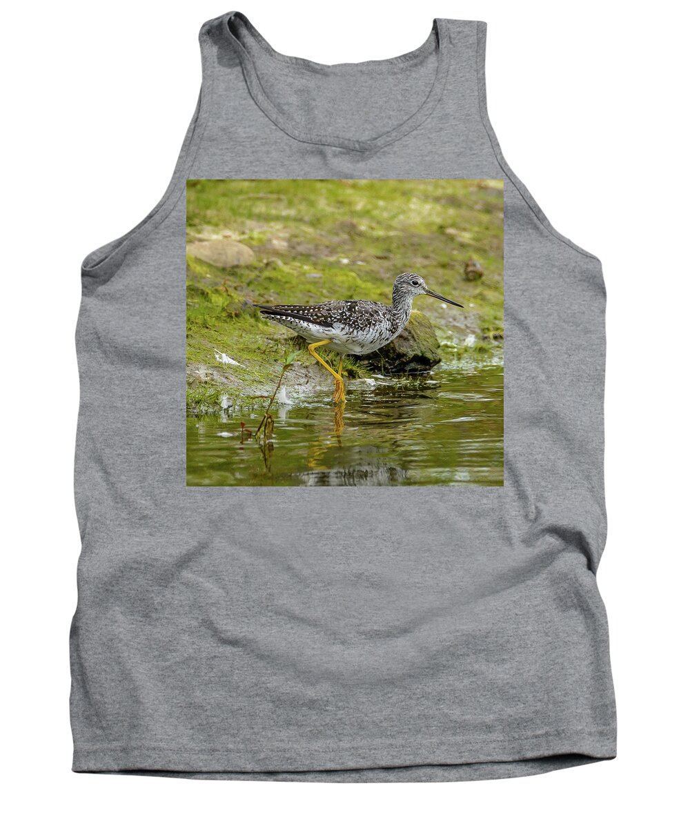 Shore Bird Tank Top featuring the photograph Greater Yellowlegs by Jerry Cahill