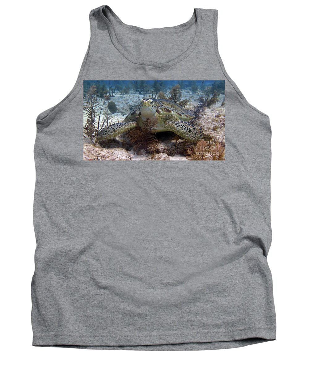 Underwater Tank Top featuring the photograph Green Sea Turtle by Daryl Duda