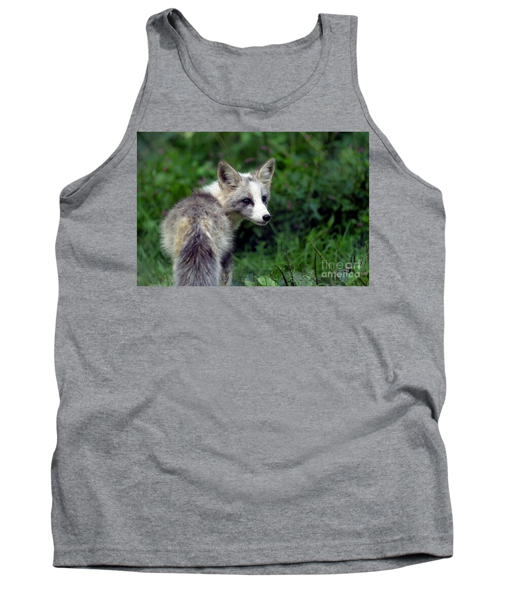 Fox Tank Top featuring the photograph Grey and white fox cub by Sam Rino