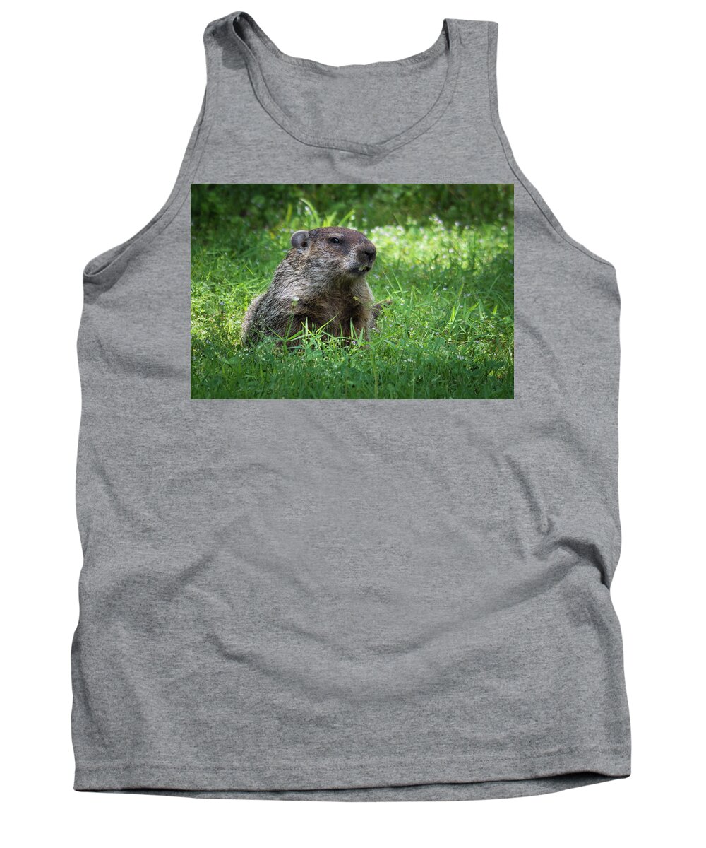 Wildlife Tank Top featuring the photograph Groundhog Posing by John Benedict