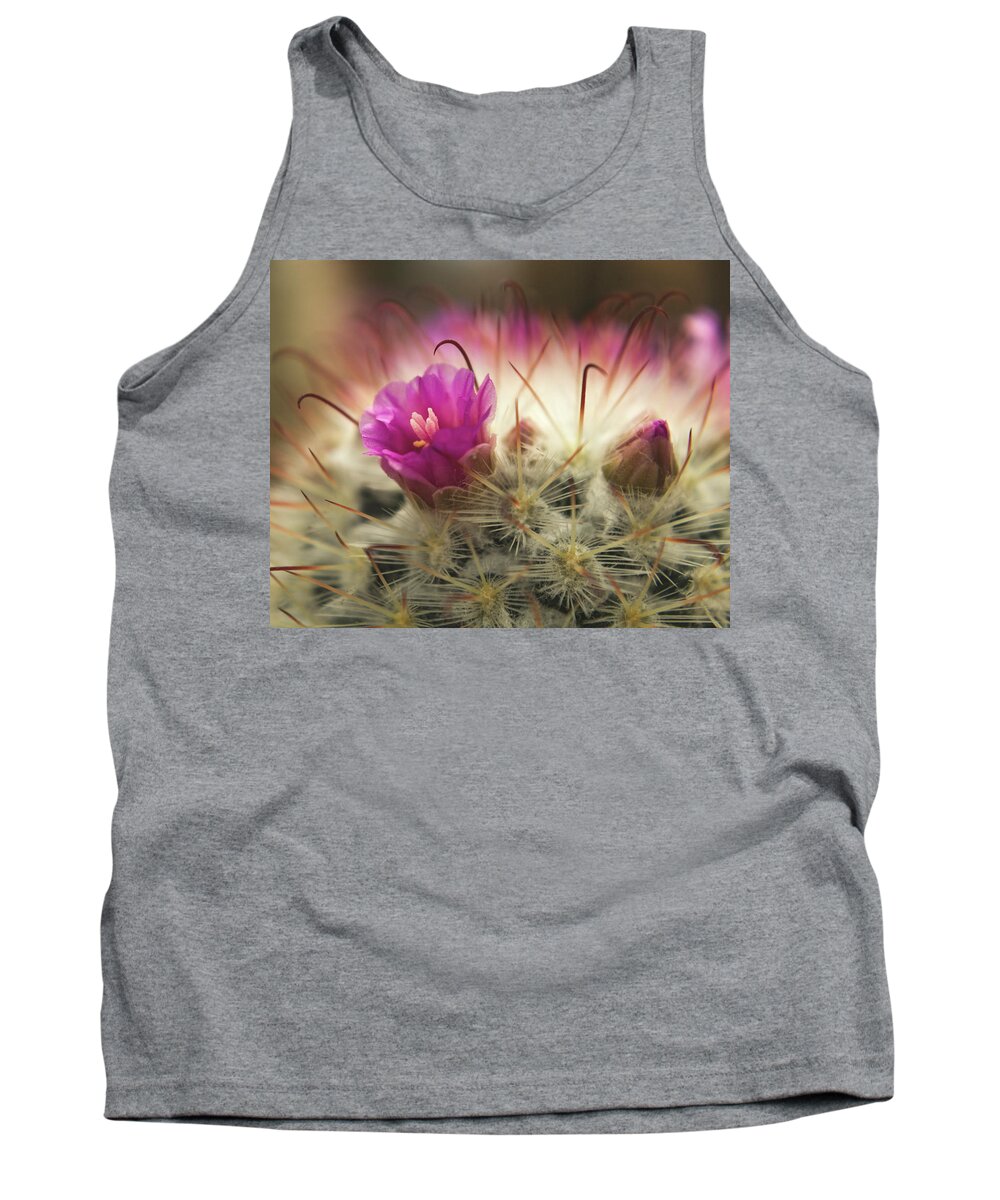 Cactus Tank Top featuring the photograph Handle with Care by Holly Ross