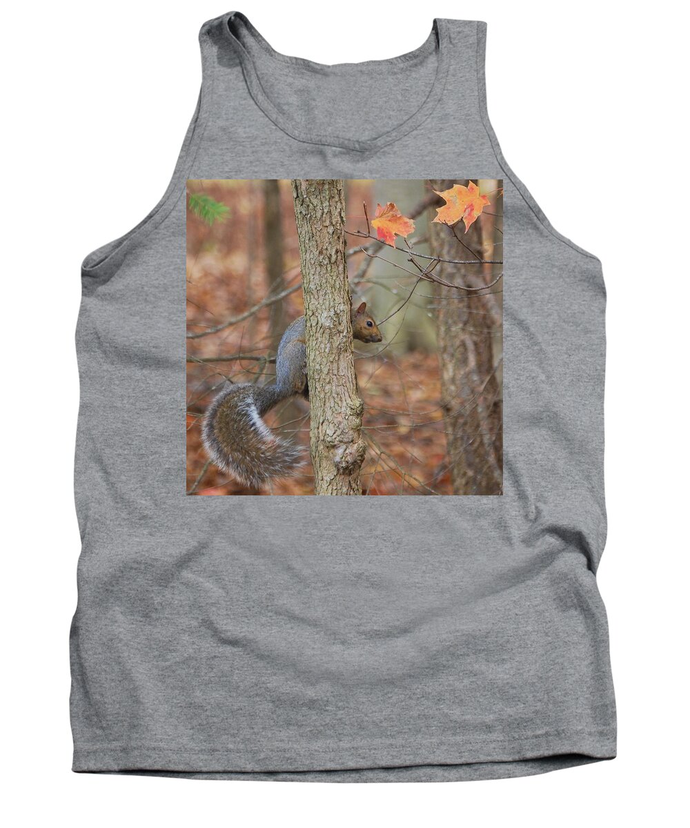 Squirrel Tank Top featuring the photograph Hanging Out by Sonja Jones