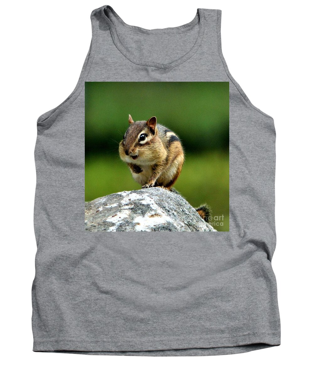 Chipmunk Tank Top featuring the photograph Happily Surprised Chipmunk by Dani McEvoy