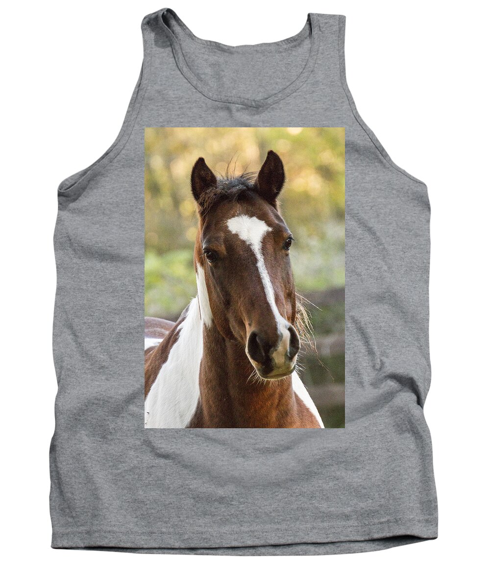 Brown Tank Top featuring the photograph Happy Horse by Suanne Forster