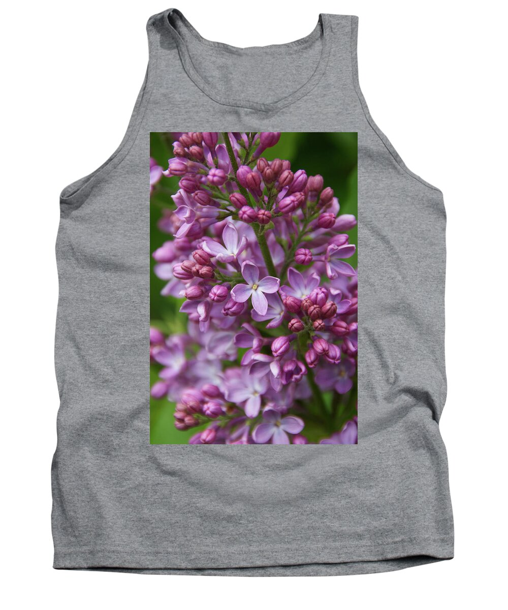 Lilacs Tank Top featuring the photograph Happy Lilacs by Rebekah Zivicki