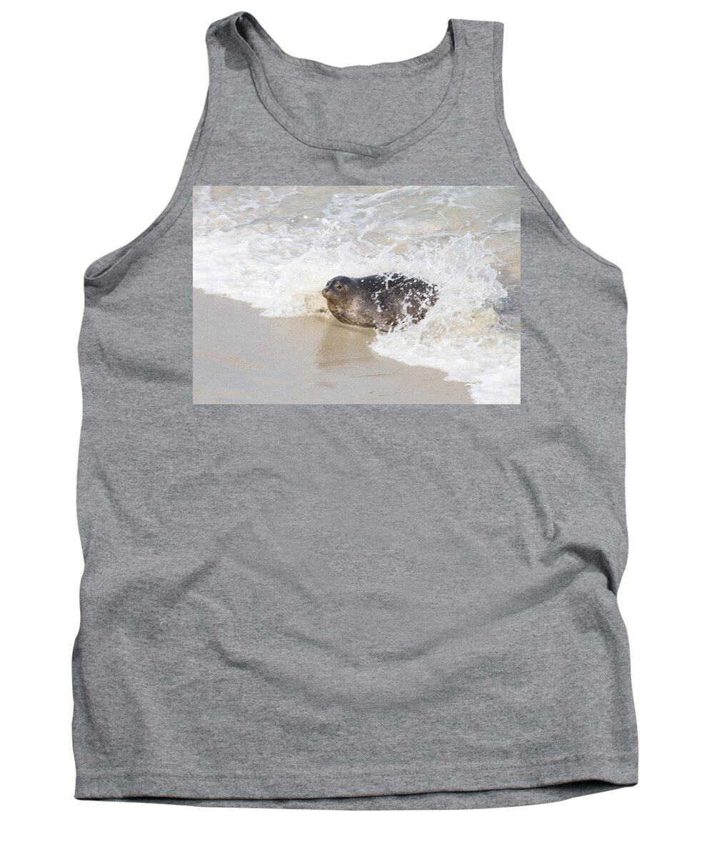 La Jolla Tank Top featuring the photograph Harbor Seal by Paul Schultz
