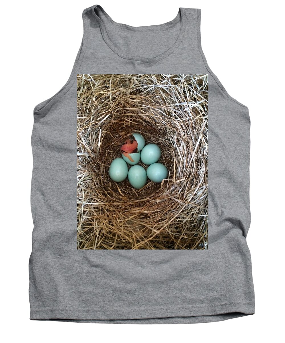 Hatch Tank Top featuring the photograph Hatched by Jackson Pearson