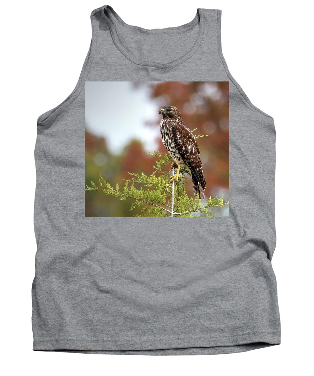 Hawk Tank Top featuring the photograph Red Shoulder Hawk profile by Ronda Ryan