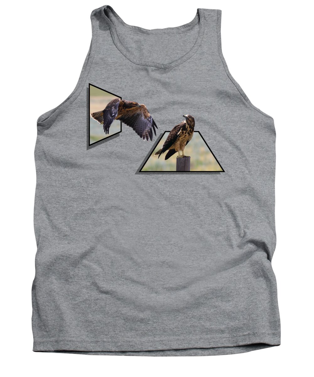 Hawk Tank Top featuring the photograph Hawks by Shane Bechler