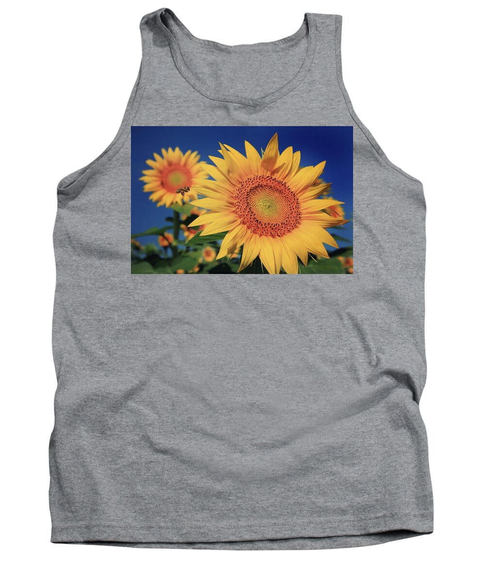 Grinter Tank Top featuring the photograph Heading for Gold by Chris Berry