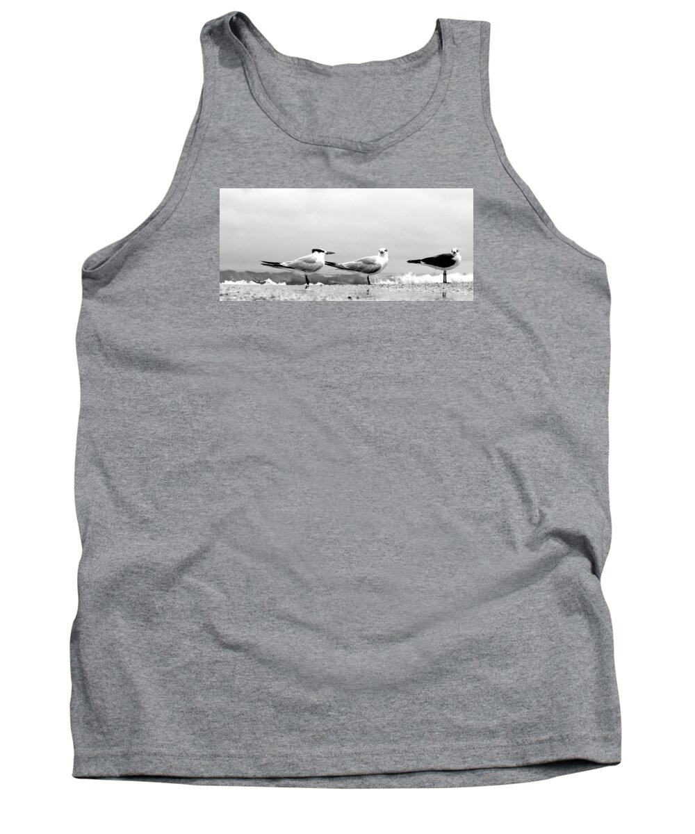 Tern Tank Top featuring the photograph Heads Turned by David Ralph Johnson