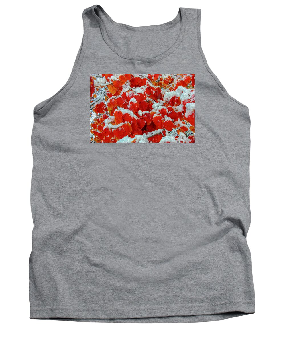 Red Leaves Tank Top featuring the painting Heart Shape Leaves covered by Snow by Judith Barath