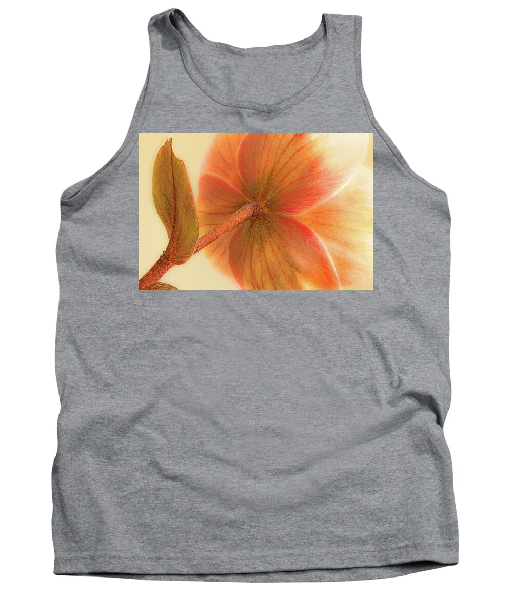 Flower Tank Top featuring the photograph Hellebore by Bob Cournoyer