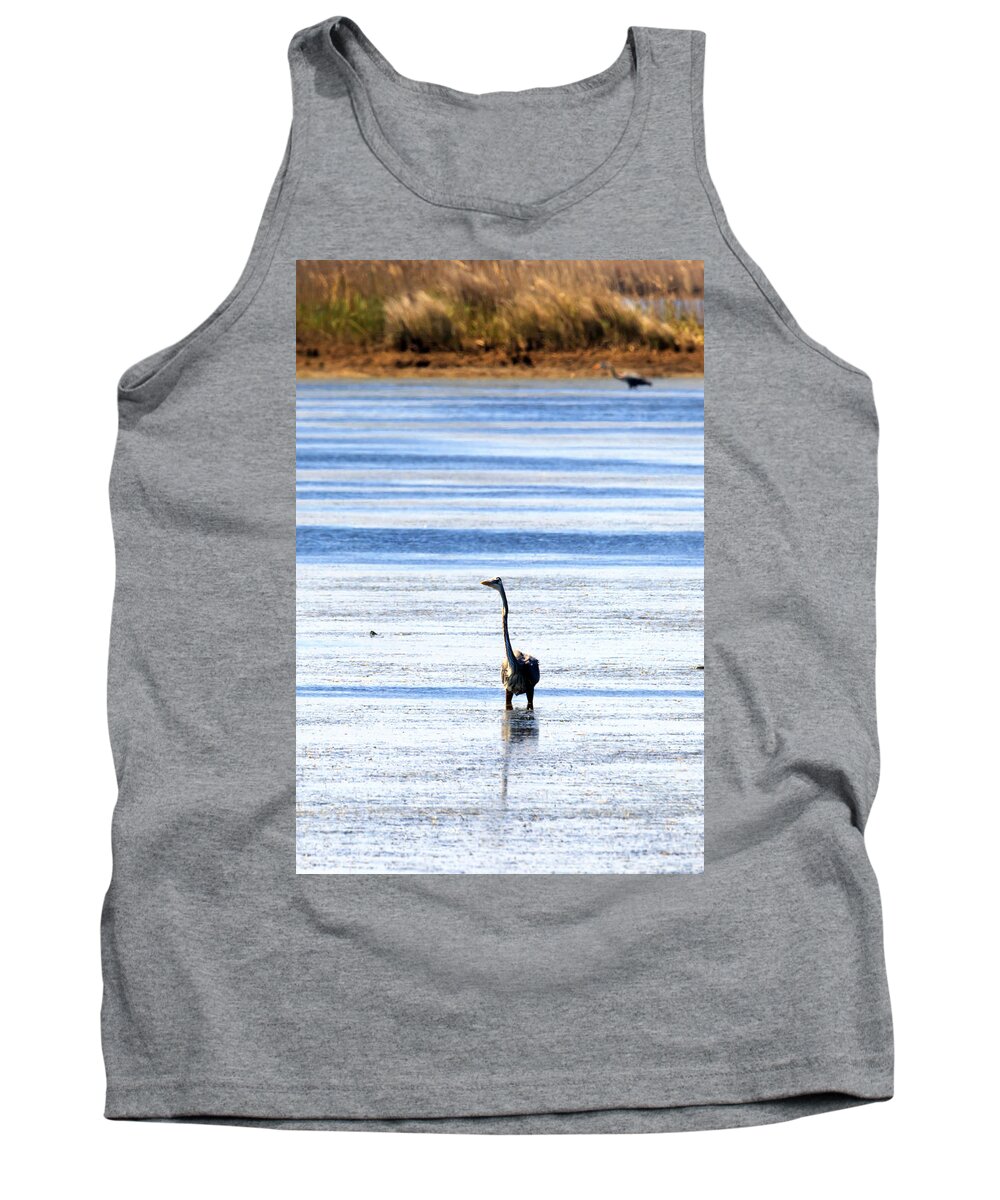 Heron Tank Top featuring the photograph Heron in the Water by Travis Rogers