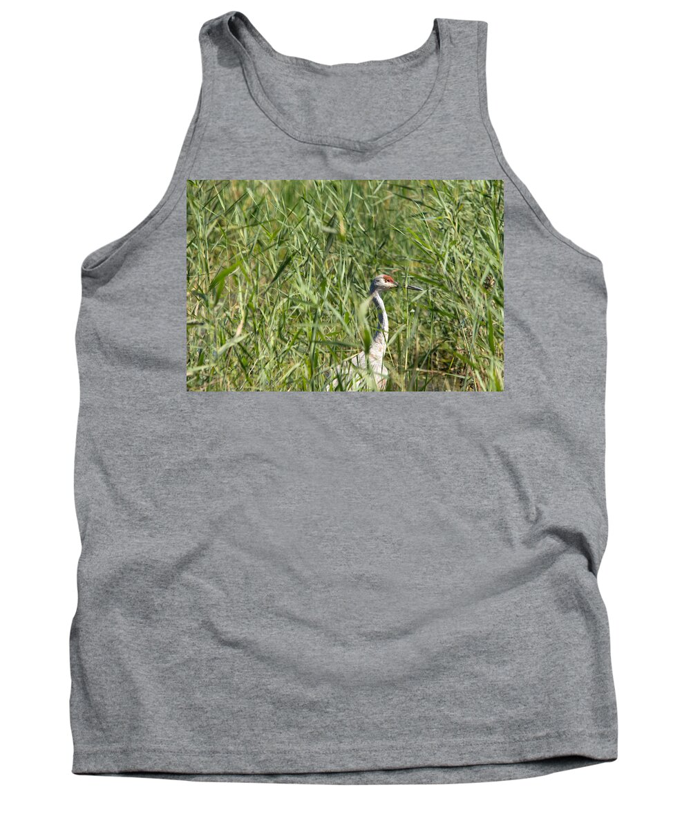 Bay City Recreation Area Tank Top featuring the photograph Hiding In the Weeds by Linda Kerkau