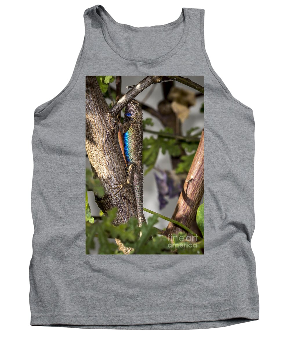 Belly Tank Top featuring the photograph Hiding in Tree by Shawn Jeffries