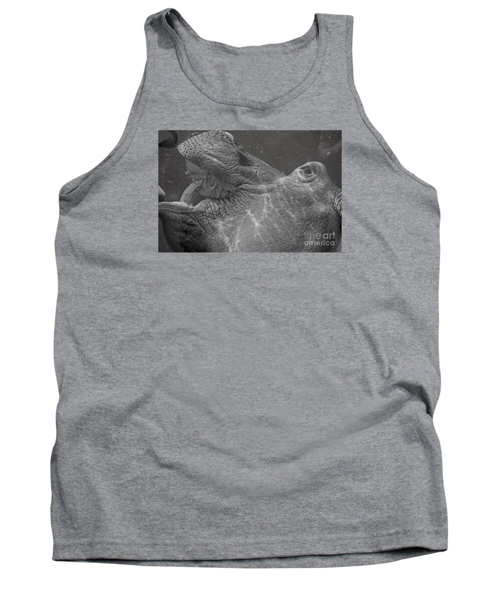 Hippo Tank Top featuring the photograph Hippo in Water by David Frederick