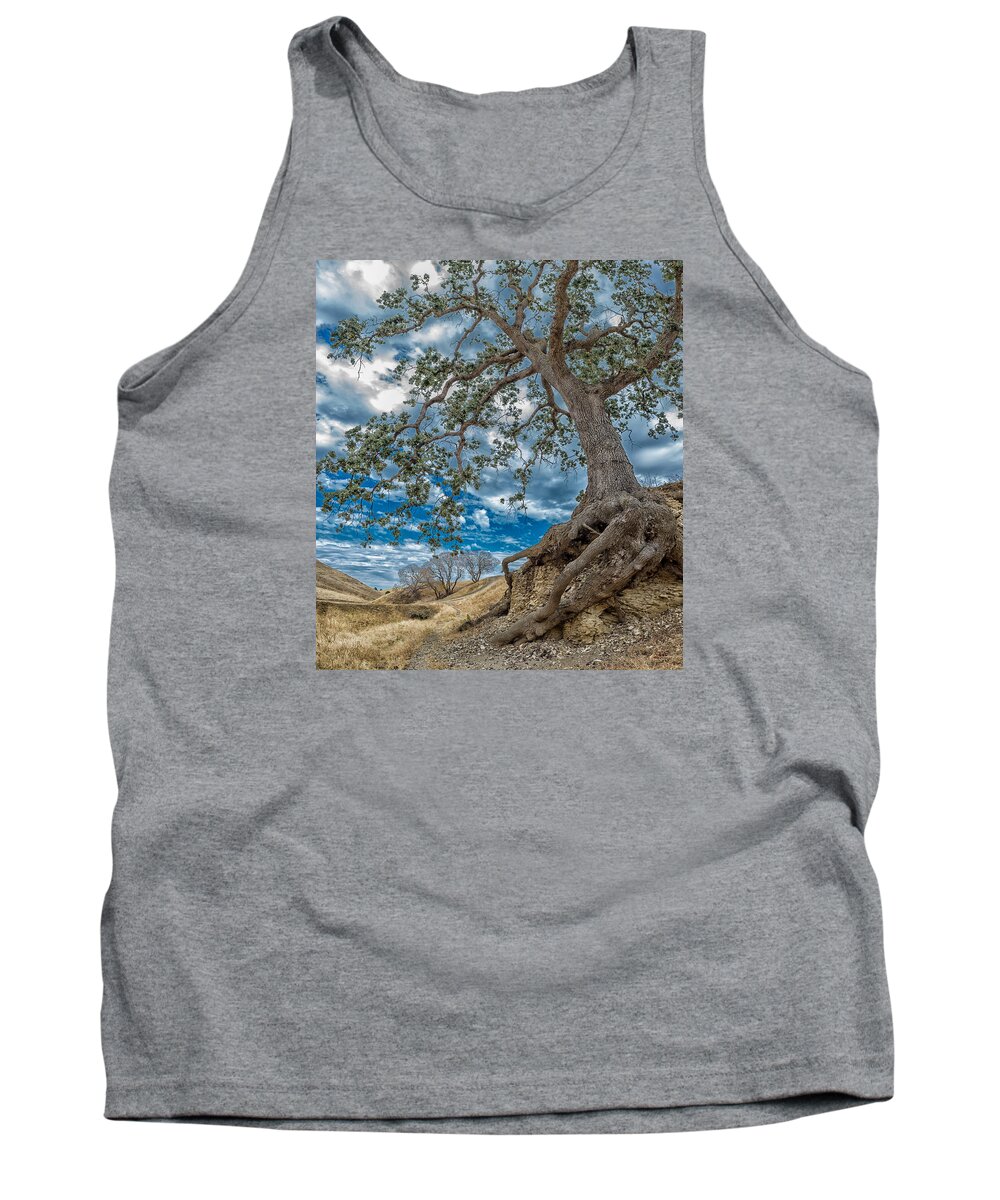 Antioch Tank Top featuring the photograph Holding On by Robin Mayoff