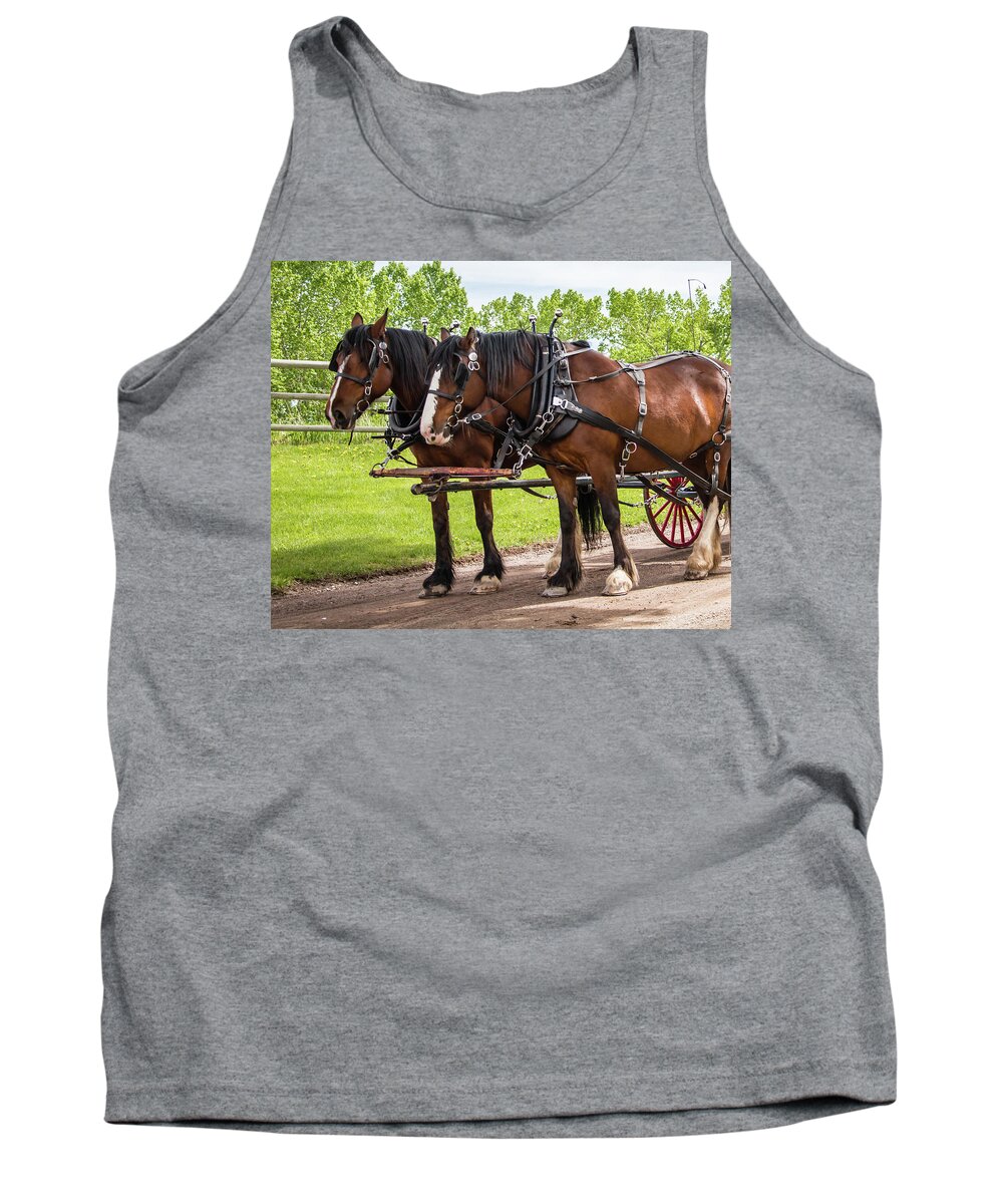 Horses Harness Western Alberta Canada Tank Top featuring the photograph Horses in Harness by Ted Burchnall