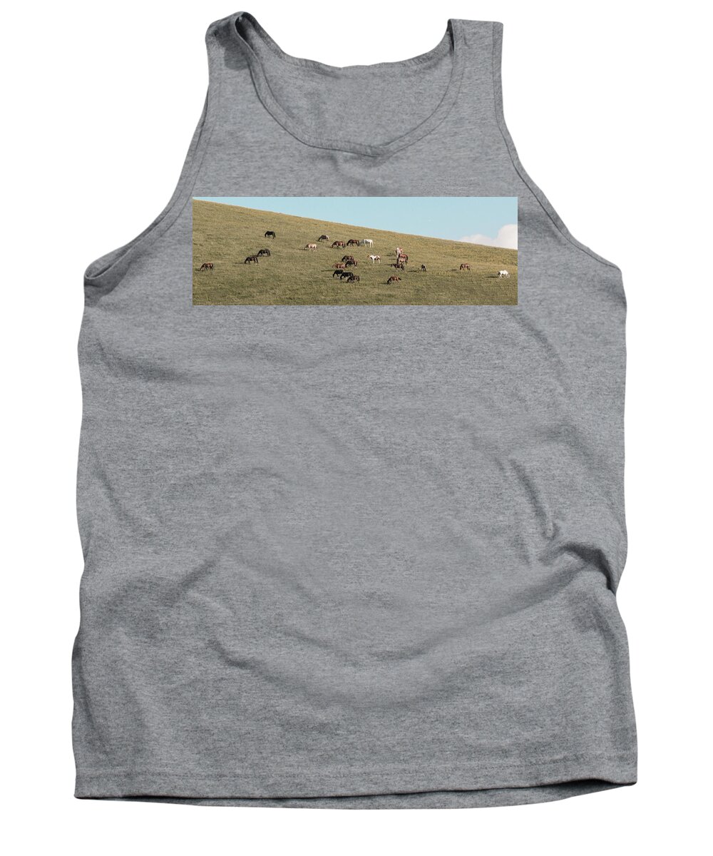 Horses Tank Top featuring the photograph Horses On The Hill by D K Wall