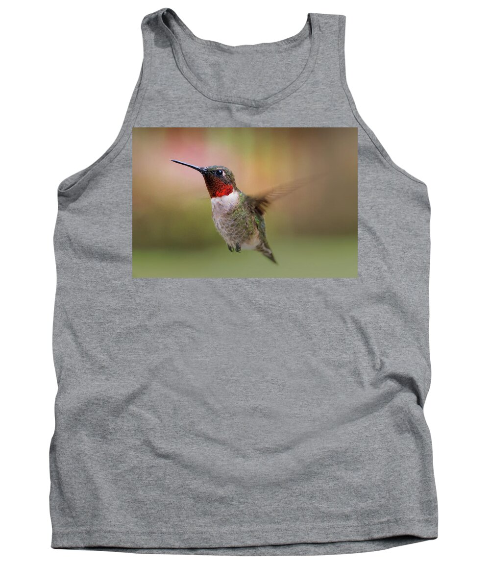 Hummingbird Tank Top featuring the photograph Hovering II by Richard Macquade