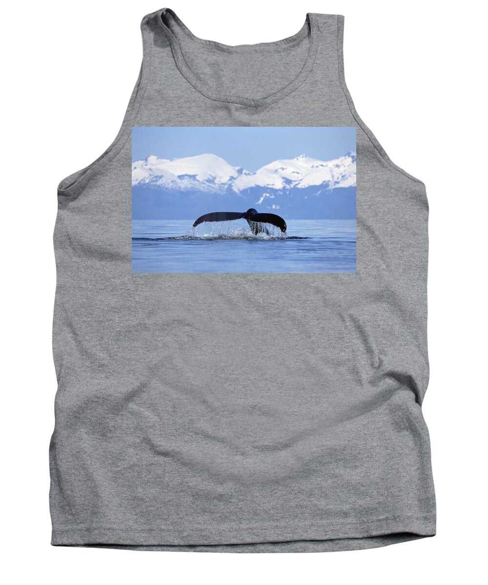Mp Tank Top featuring the photograph Humpback Whale Megaptera Novaeangliae by Konrad Wothe
