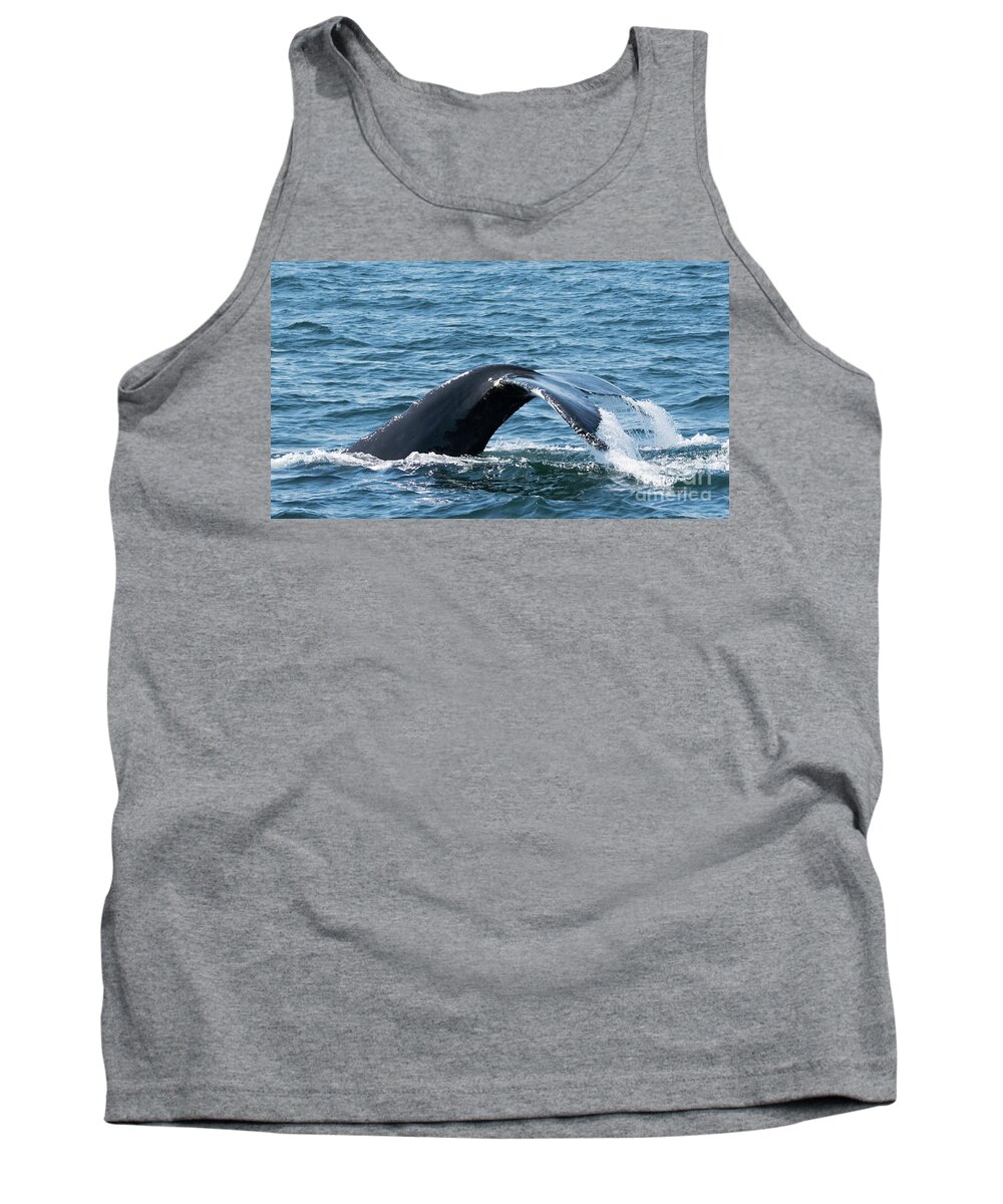 Whale Tank Top featuring the photograph Humpback Whale of a Tail by Lorraine Cosgrove