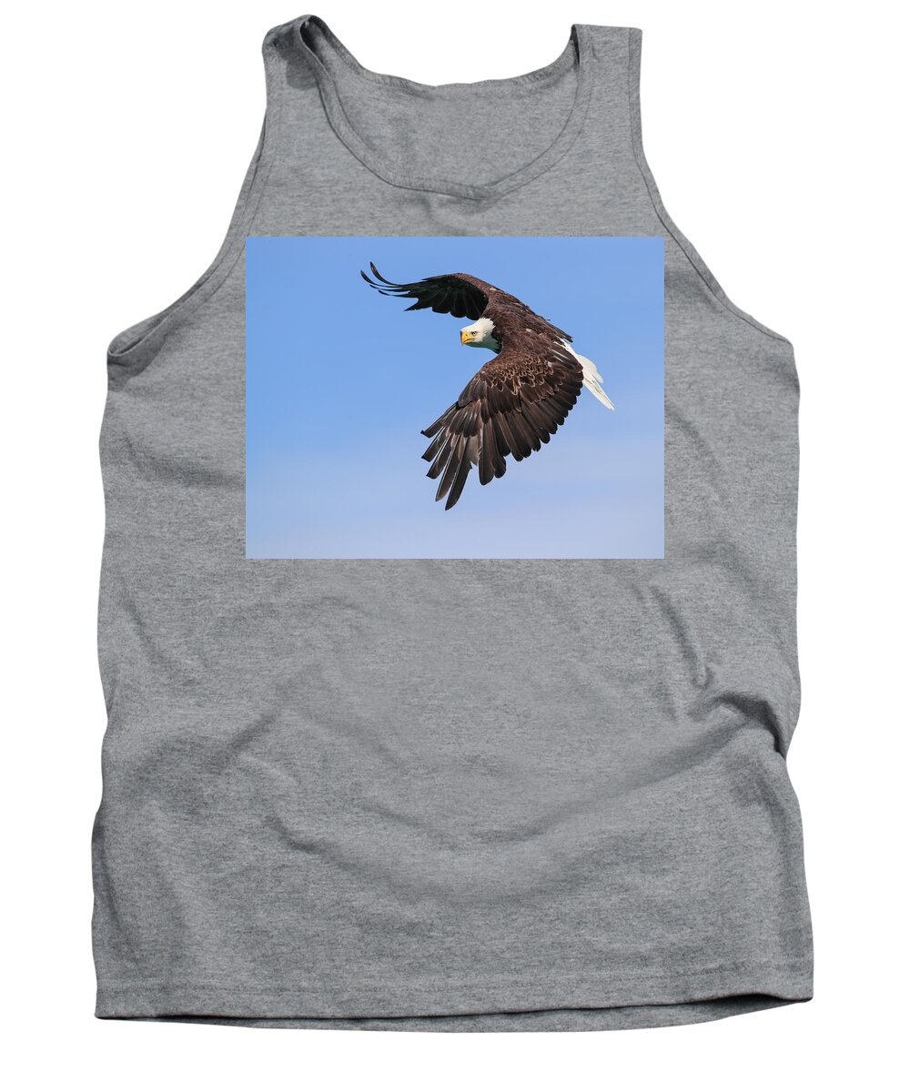 Sam Amato Photography Tank Top featuring the photograph Hunting Bald Eagle by Sam Amato