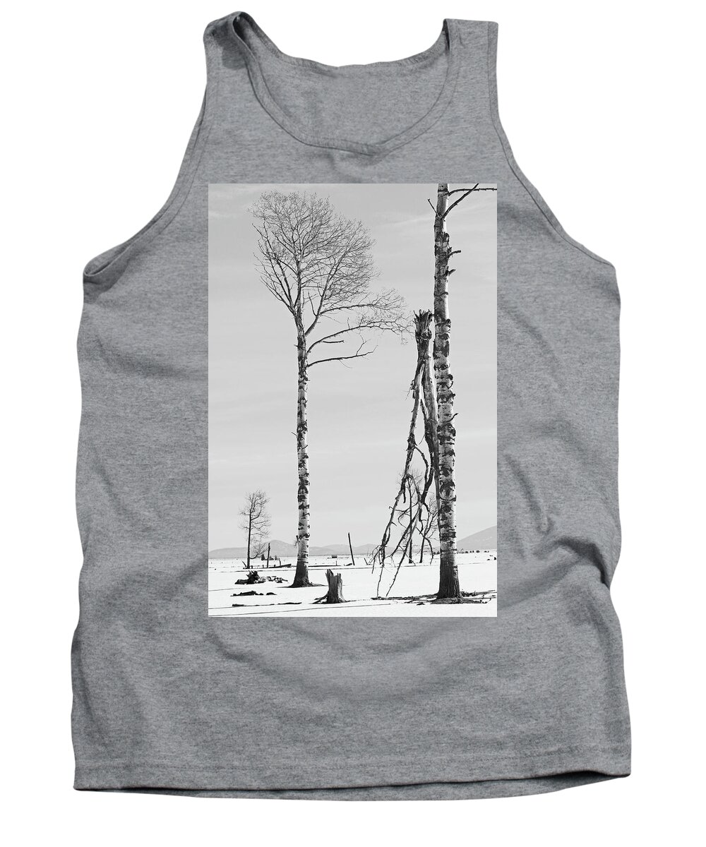 Hwy62 Tank Top featuring the photograph Hwy 62 by Dr Janine Williams