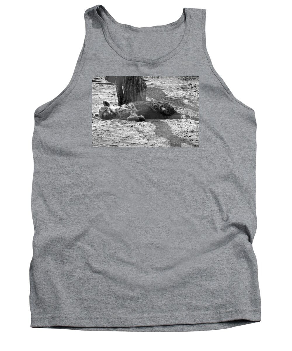 Hyena Tank Top featuring the photograph Hyena by Parushka Moodley