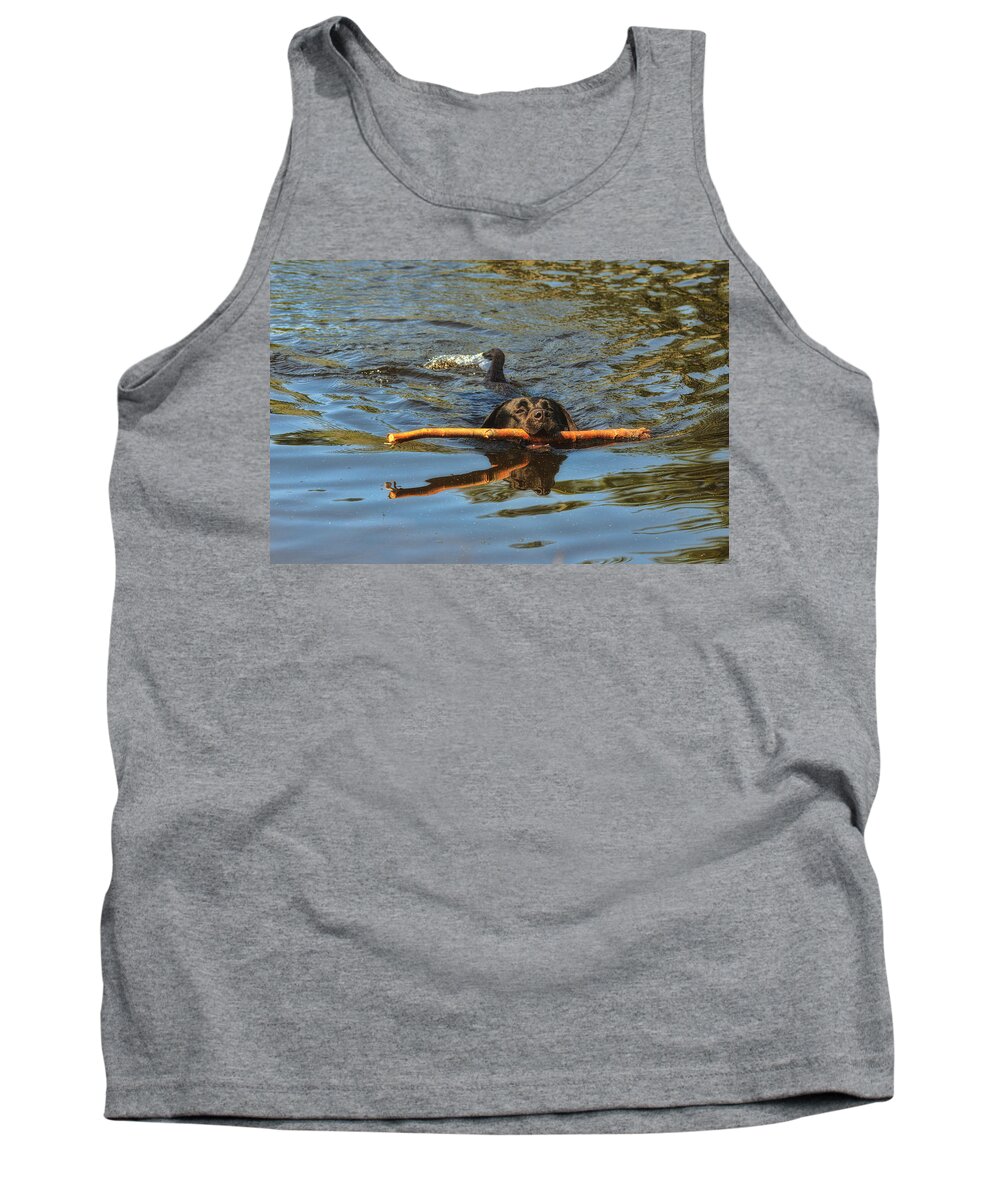 Labradour Retreiver Tank Top featuring the photograph I Got This by Sue Capuano