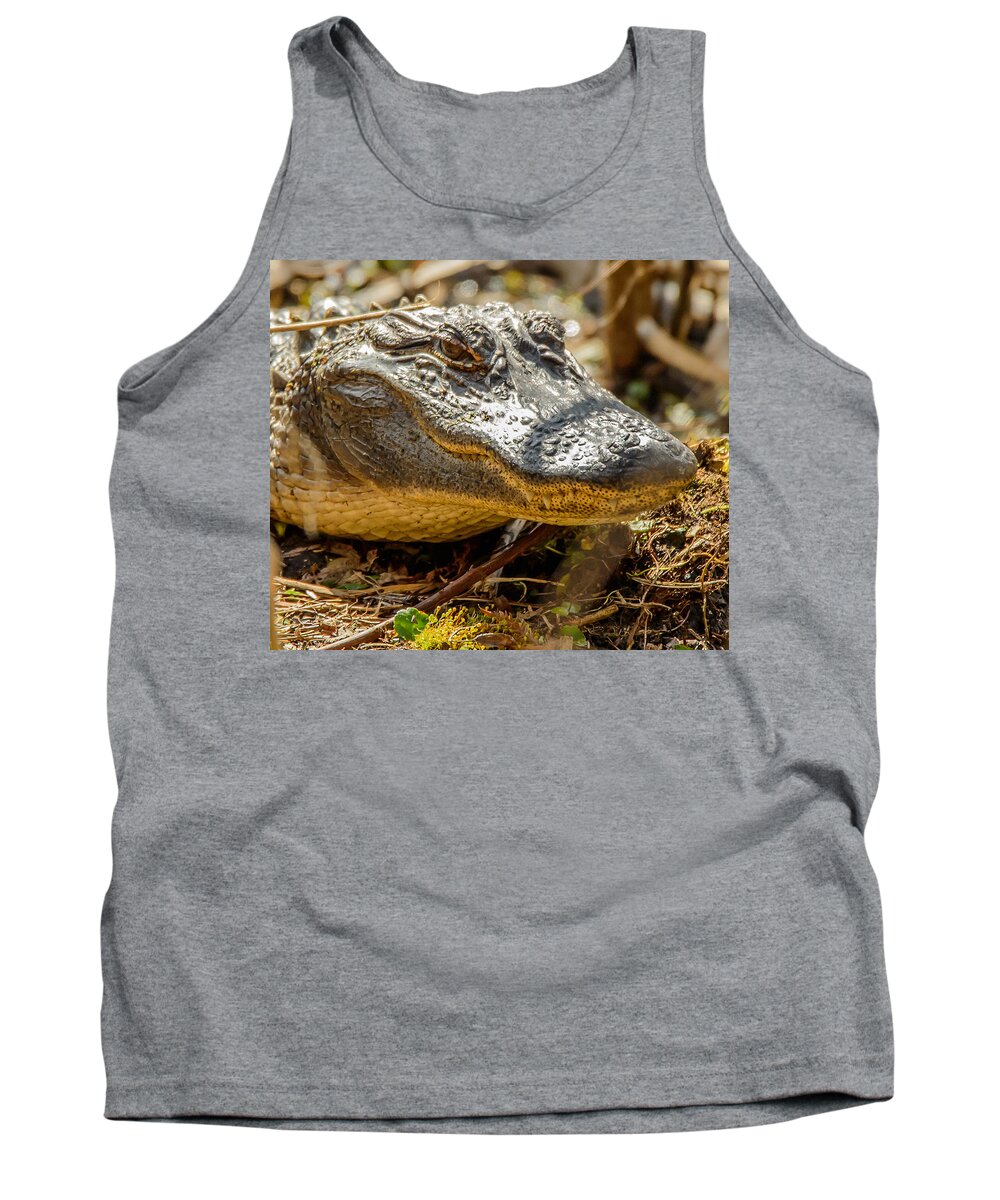 Alligator Tank Top featuring the photograph I See You by Joe Granita