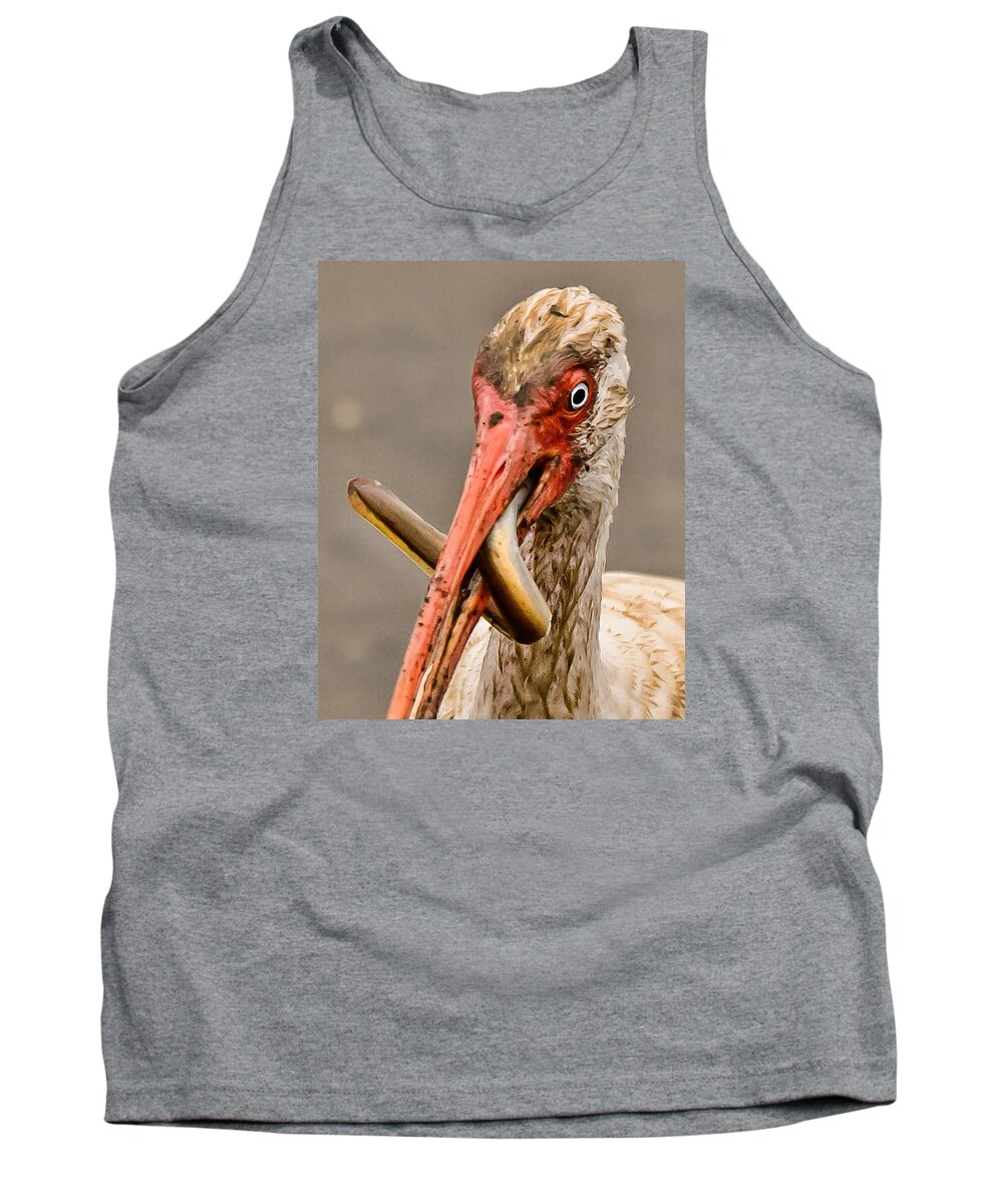 Ibus With Eel Tank Top featuring the photograph Ibus with EEL #4 by Joe Granita
