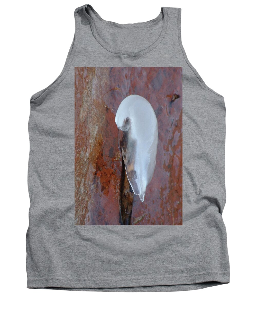 Ice Tank Top featuring the photograph Ice Birdy by Annekathrin Hansen