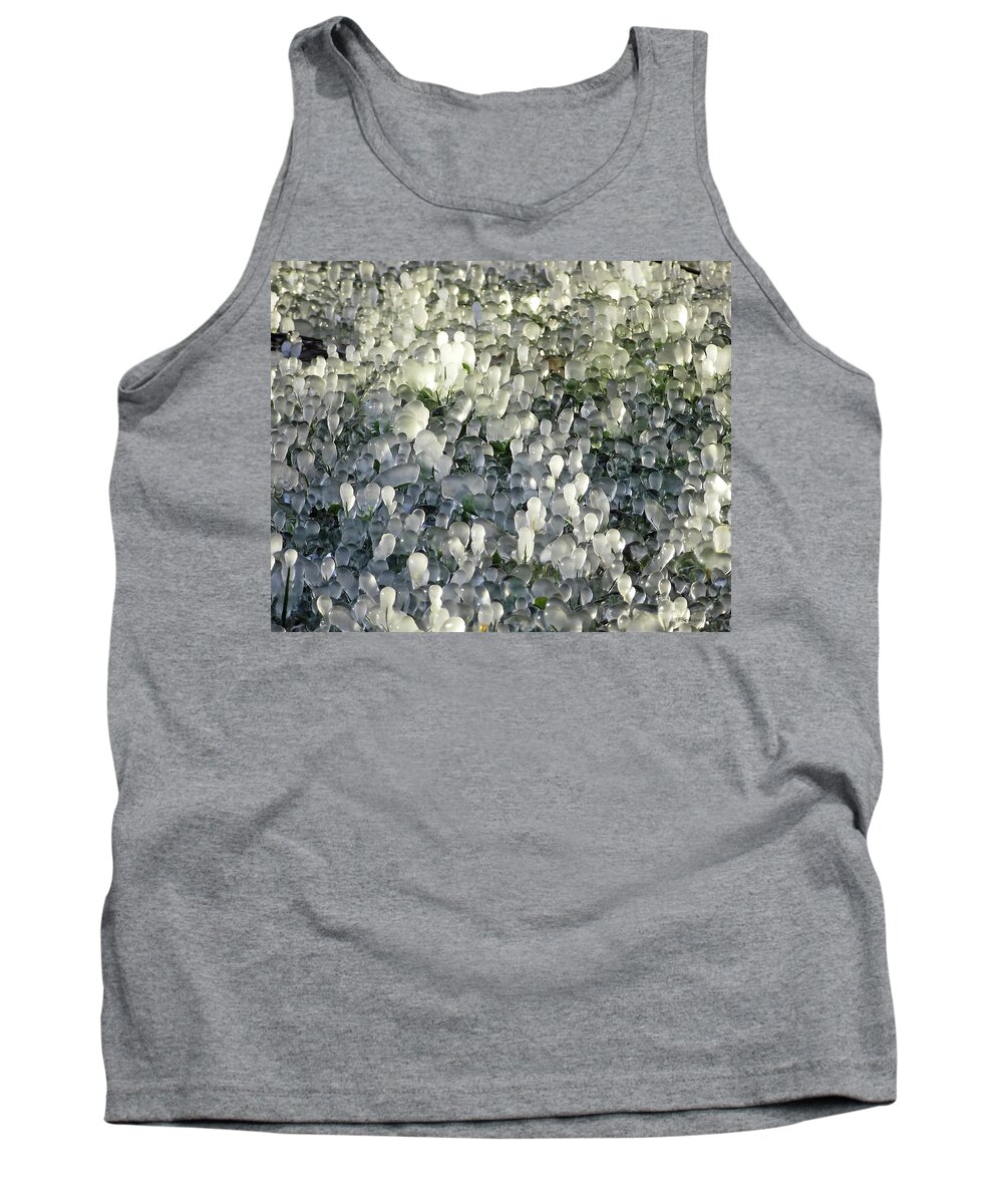 Nature Tank Top featuring the photograph Ice on the Lawn by Harold Zimmer