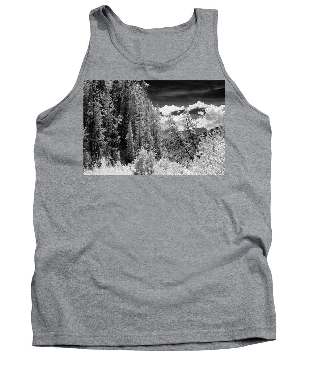 Scenic Drive Tank Top featuring the photograph Idaho Passage by Brian Duram
