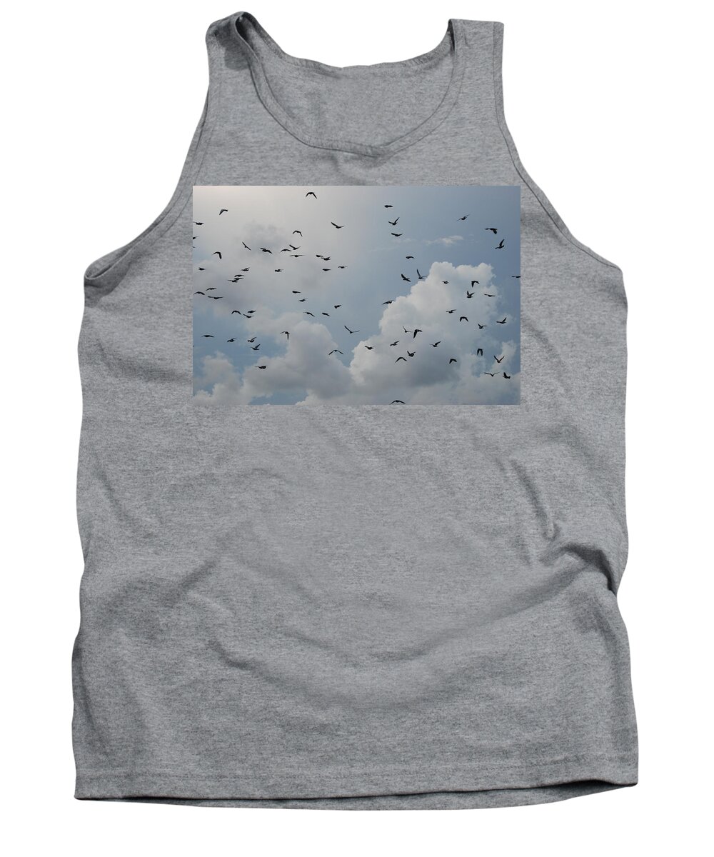 Birds Tank Top featuring the photograph In Flight by Rob Hans