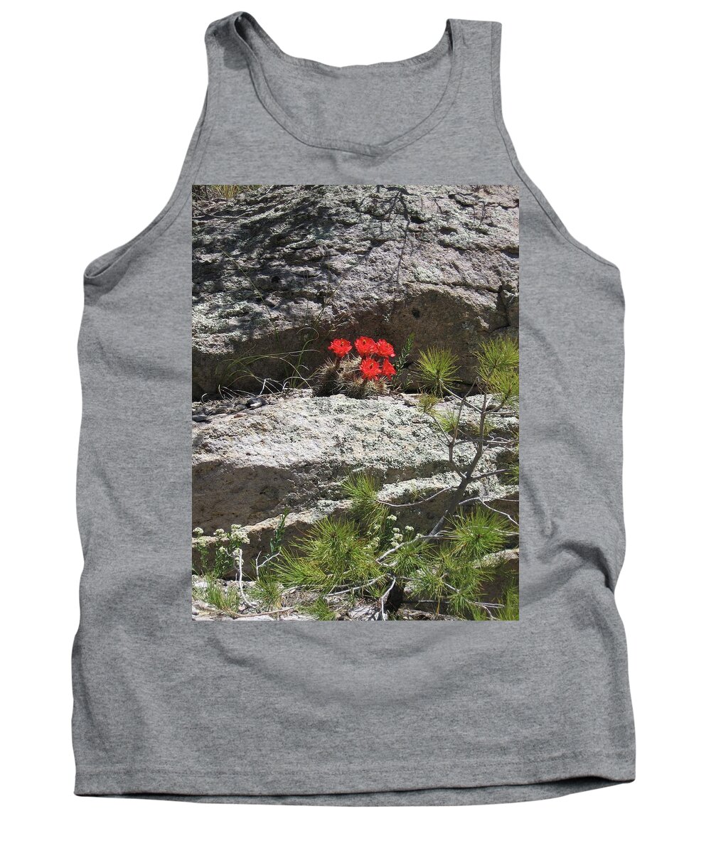 Hedgehog Cactus Tank Top featuring the photograph In the Chiricahua Mountains by Judith Lauter
