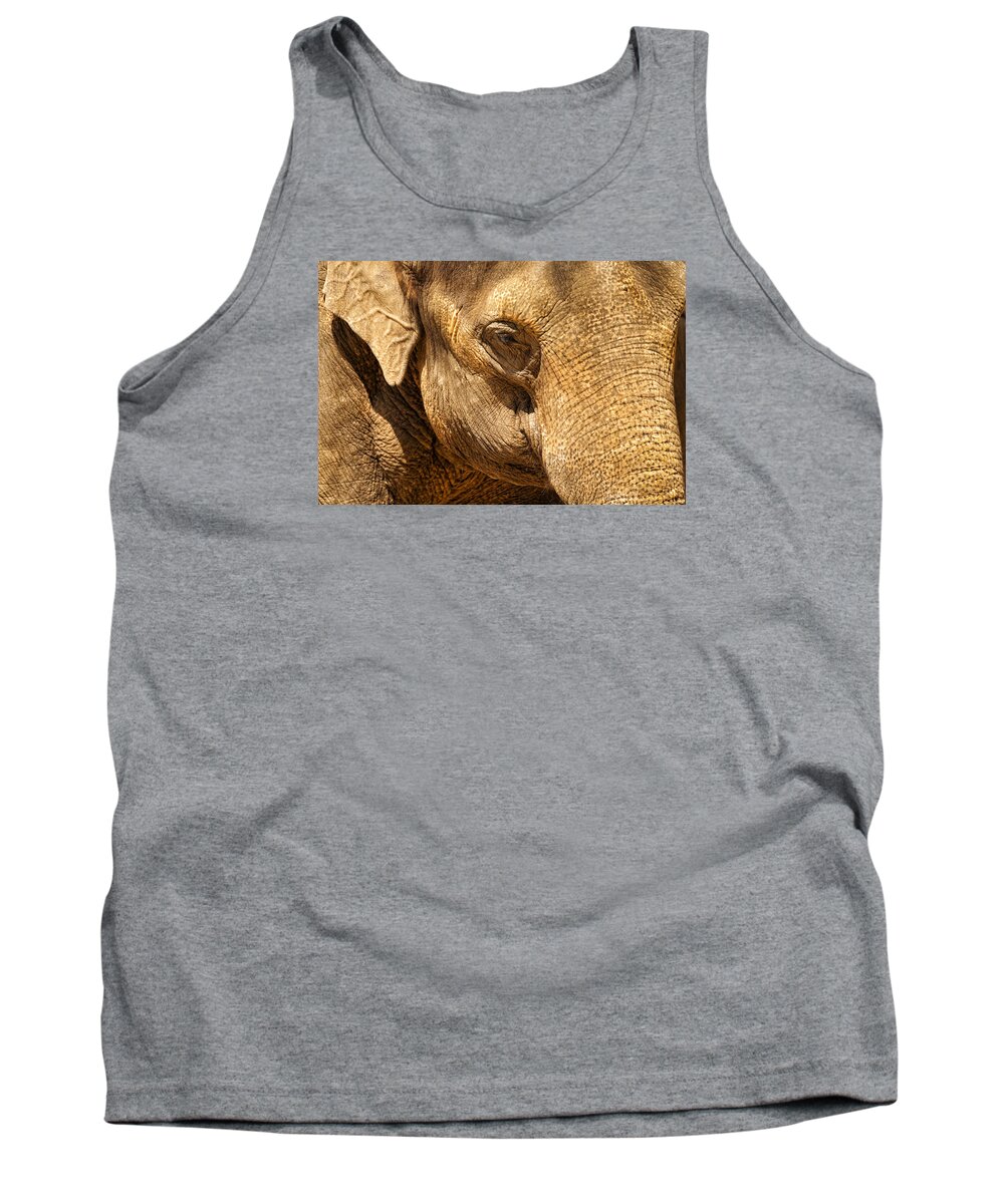 Elephant Tank Top featuring the photograph Indian Elephant. by John Paul Cullen