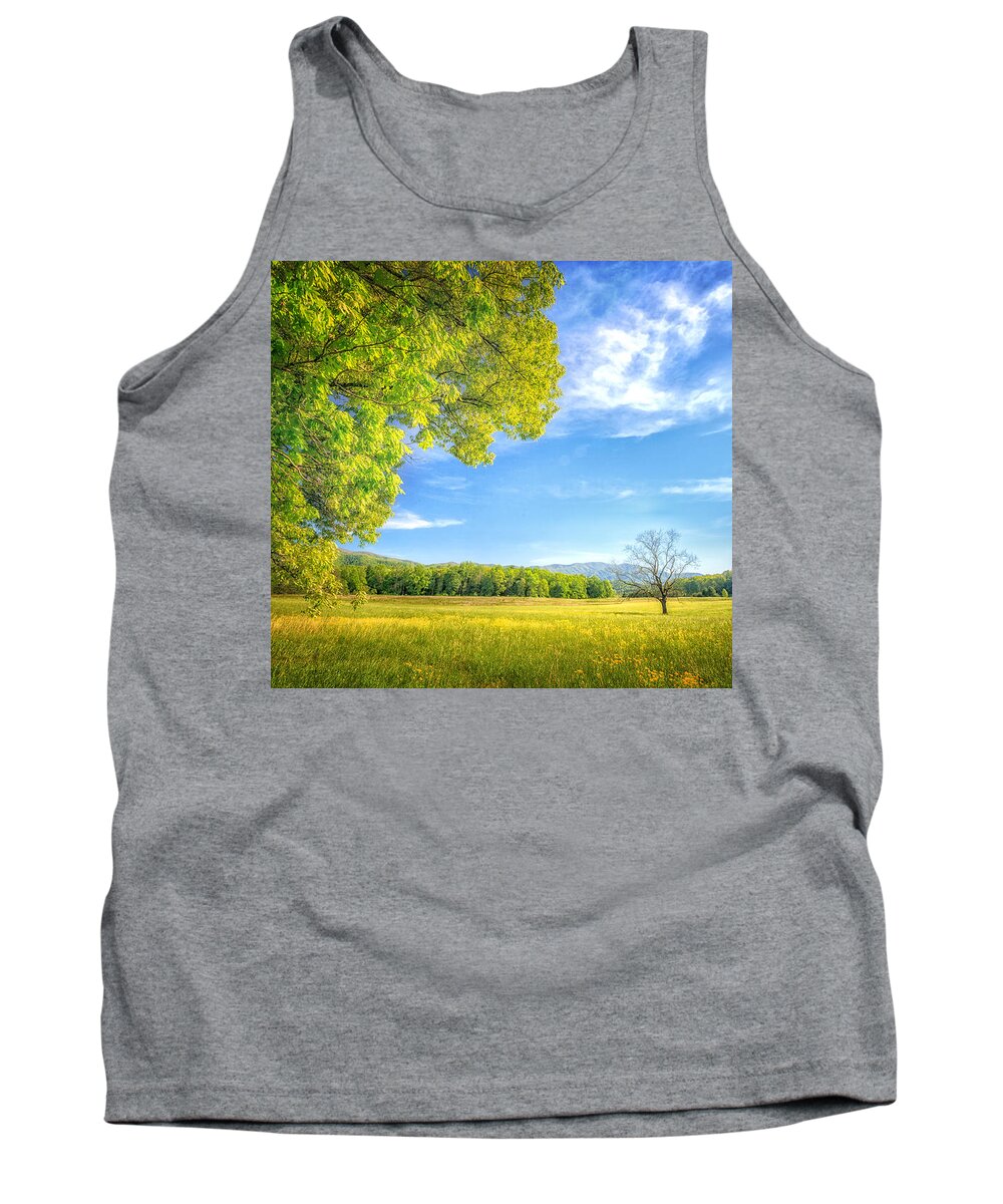 Blue Ridge Mountains Tank Top featuring the photograph Into Walnut Field by Sylvia J Zarco