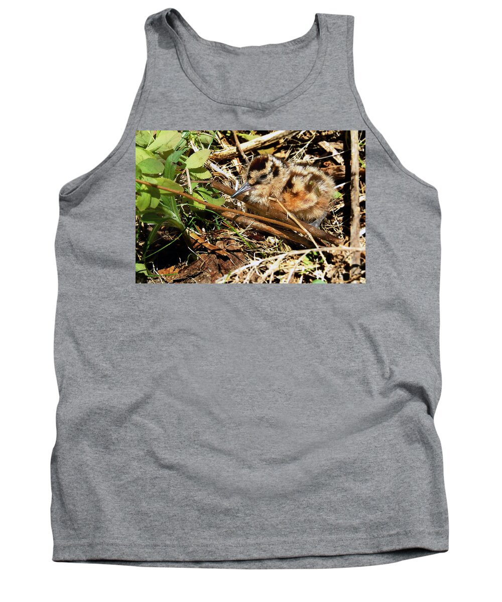 American Woodcock Tank Top featuring the photograph It's a baby Woodcock by Asbed Iskedjian