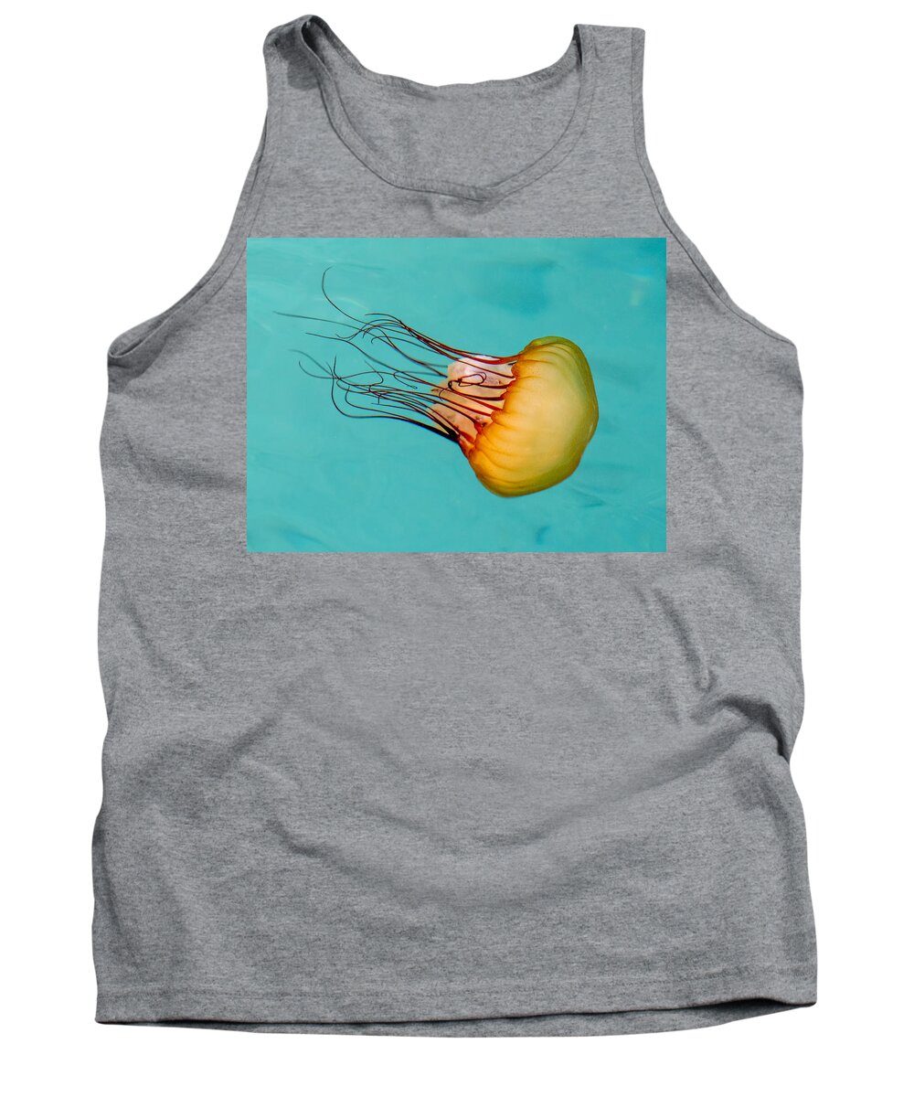 Jelly Tank Top featuring the photograph Jasmine the Jelly by Derek Dean