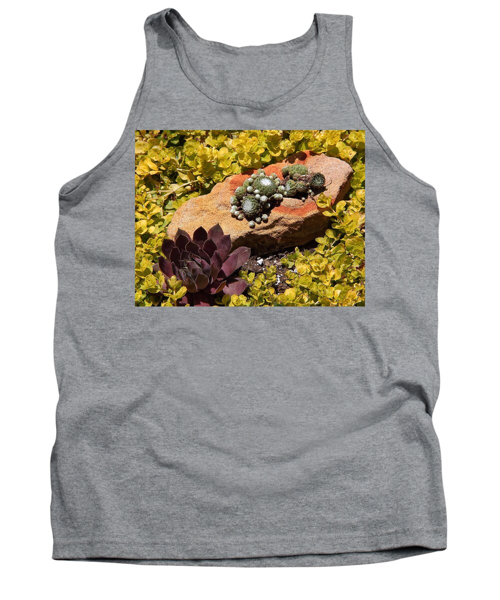 Plants Tank Top featuring the photograph Joyful Living in Hard Times by Allen Nice-Webb