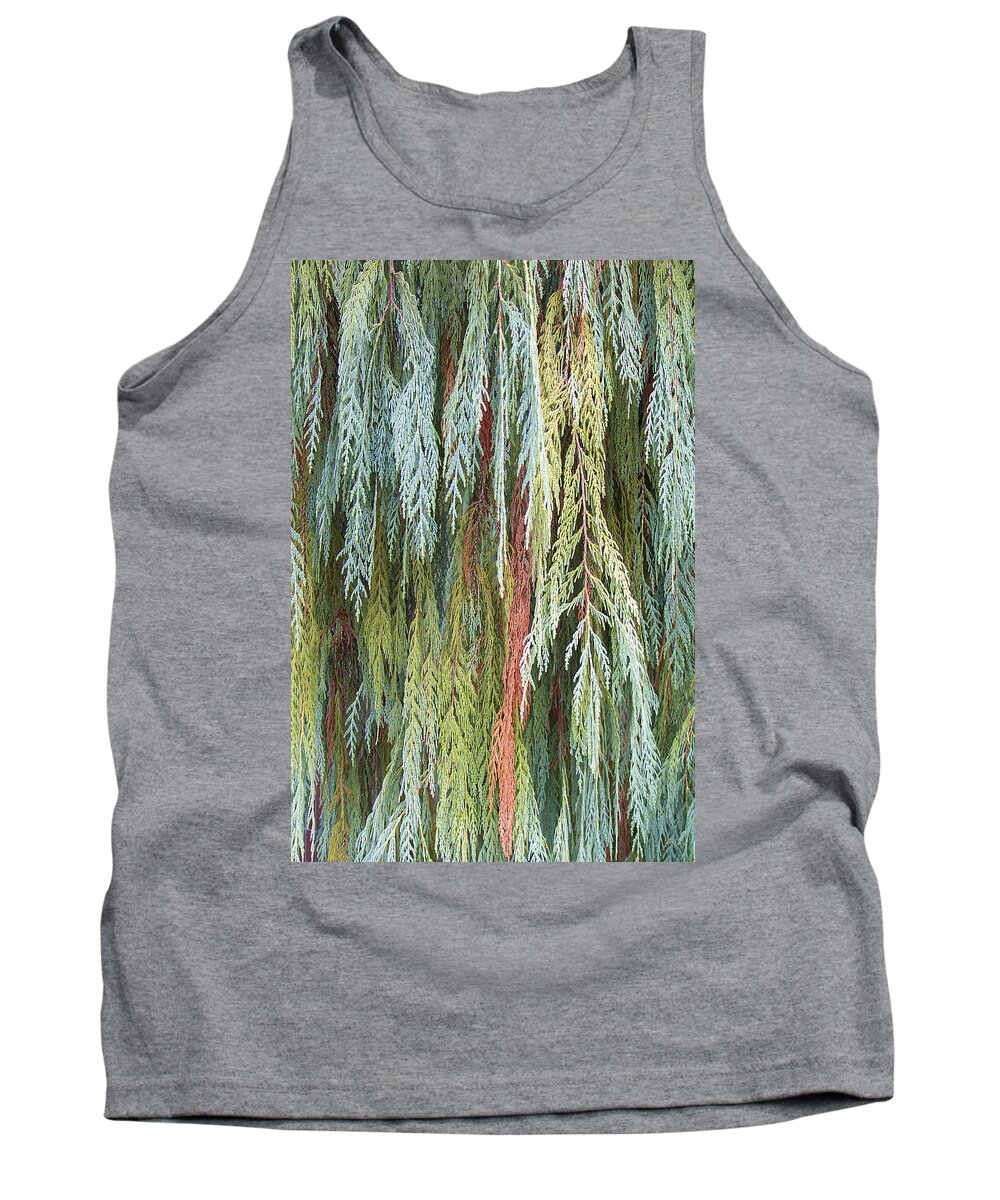 Botanical Abstract Tank Top featuring the photograph Juniper Leaves - Shades Of Green by Ben and Raisa Gertsberg