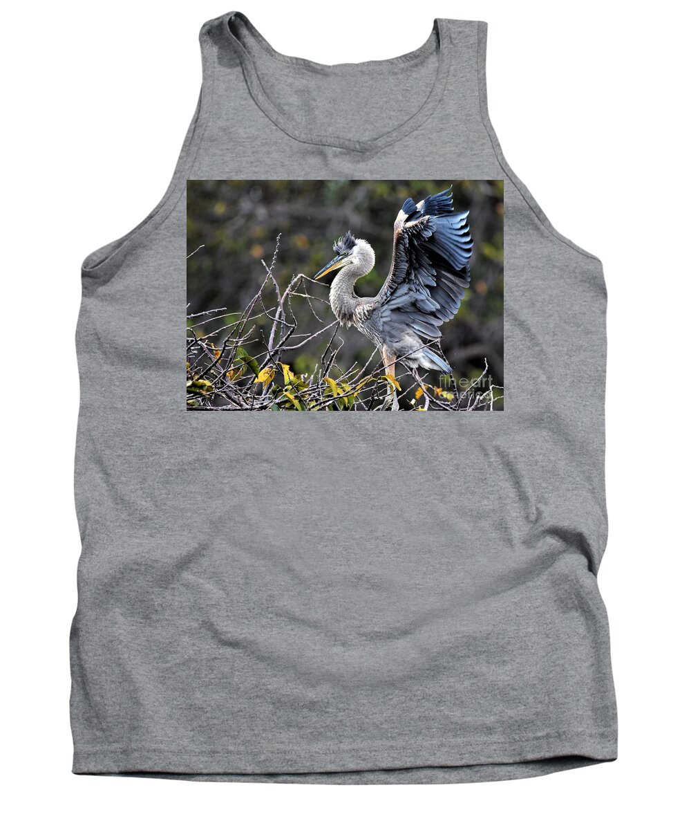 Immature Great Blue Heron Tank Top featuring the photograph Juvenile Great Blue Heron by Julie Adair