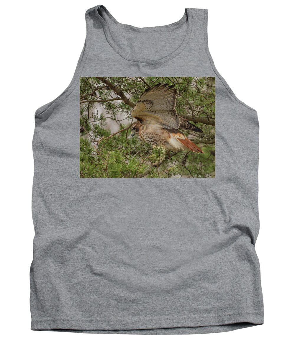 Bird Tank Top featuring the photograph King of the Pines by Jody Partin